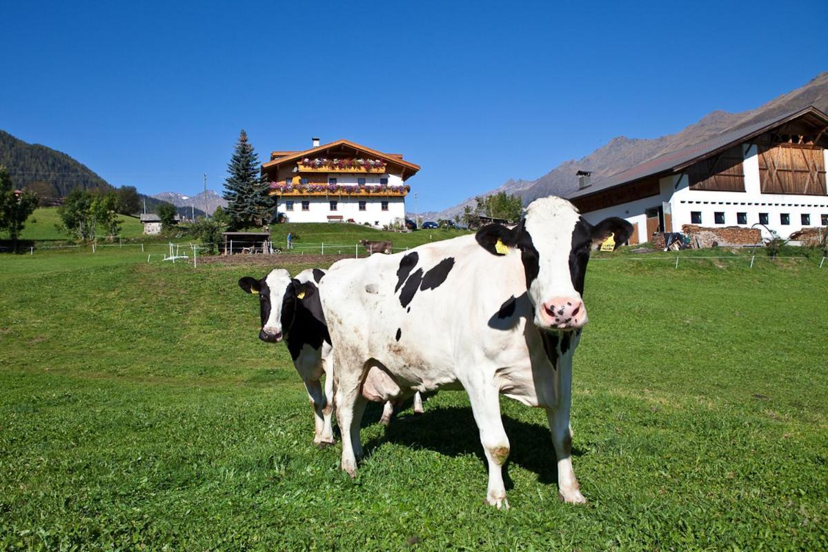 Schneiderhof, Chalet, Urlaub Auf Dem Bauernhof Ridnaun Exteriör bild